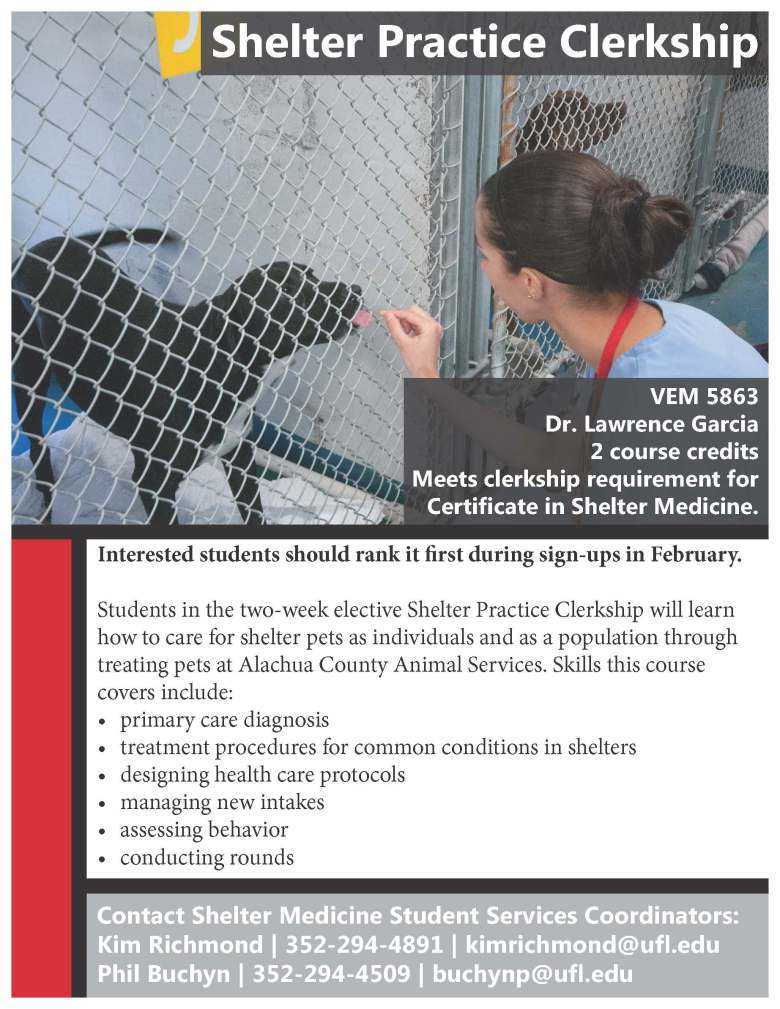 shelter practice clerkship flyer